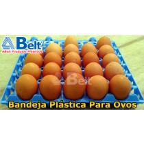 bandeja plastica para ovos