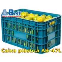 caixa-plastica-pesada-47-litros-para-laranjasjpg